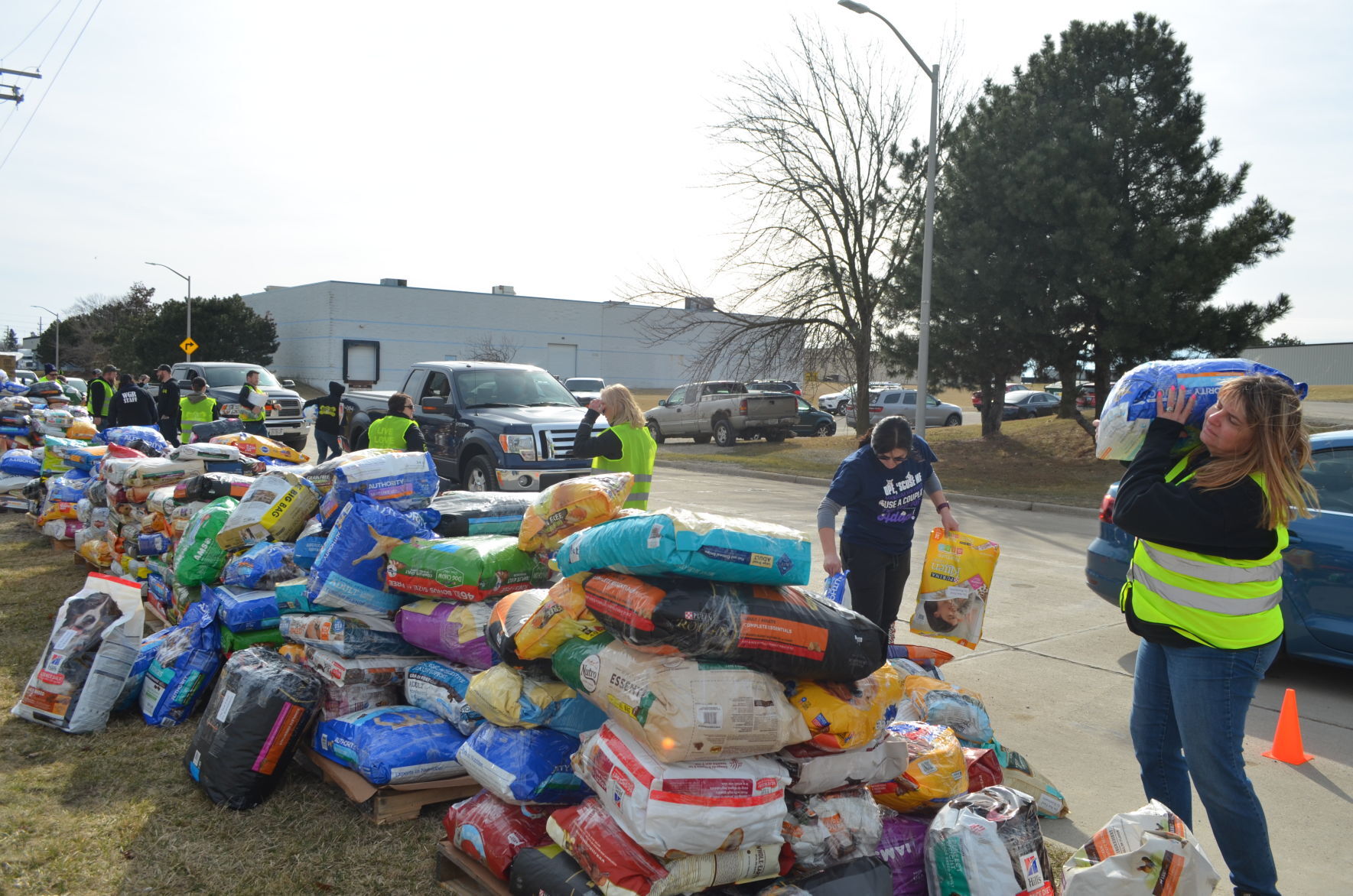 Thousands of bags